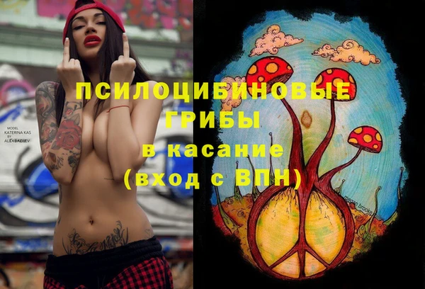 стаф Абаза
