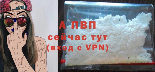 стаф Абаза
