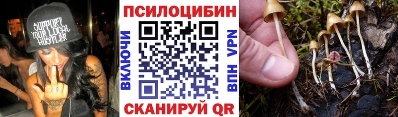 Галлюциногенные грибы GOLDEN TEACHER купить Красавино